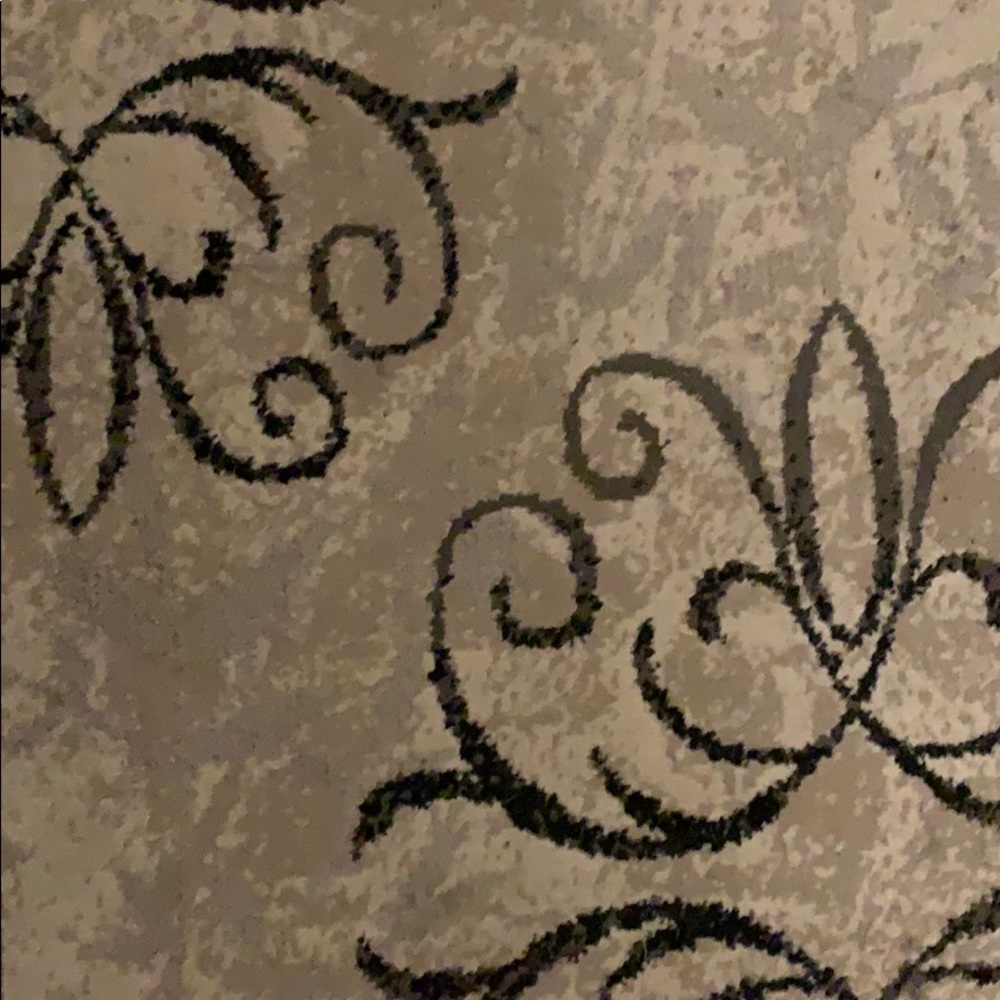 Rug-runner 6x 2. Great condition have 2 of same